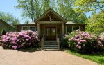 Charming entrance with poplar tree bark and beautiful rhododendron